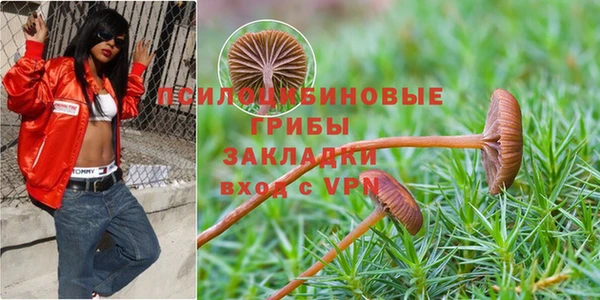 прущие крисы Балахна