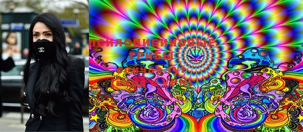 прущие крисы Балахна