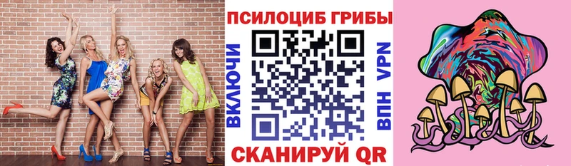 закладка  Лениногорск  Галлюциногенные грибы Cubensis 